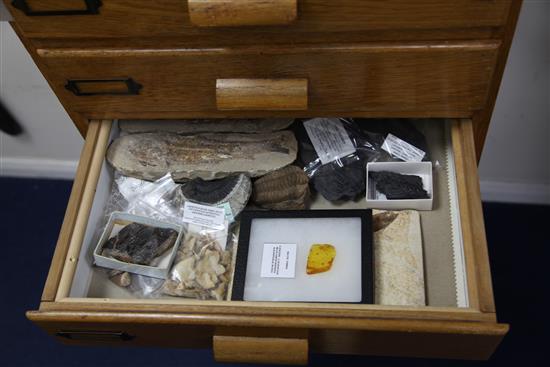 A collectors chest of beetles, mineral and fossil specimens, 3ft 5in.